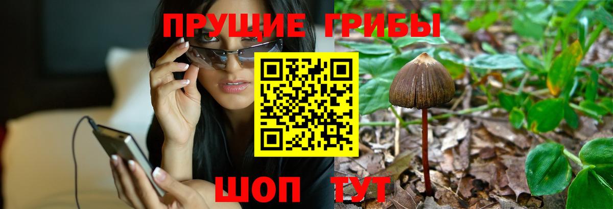 Галлюциногенные грибы Psilocybine cubensis  Псилоцибиновые грибы Psilocybine cubensis  Вход с VPN  Тимашёвск 